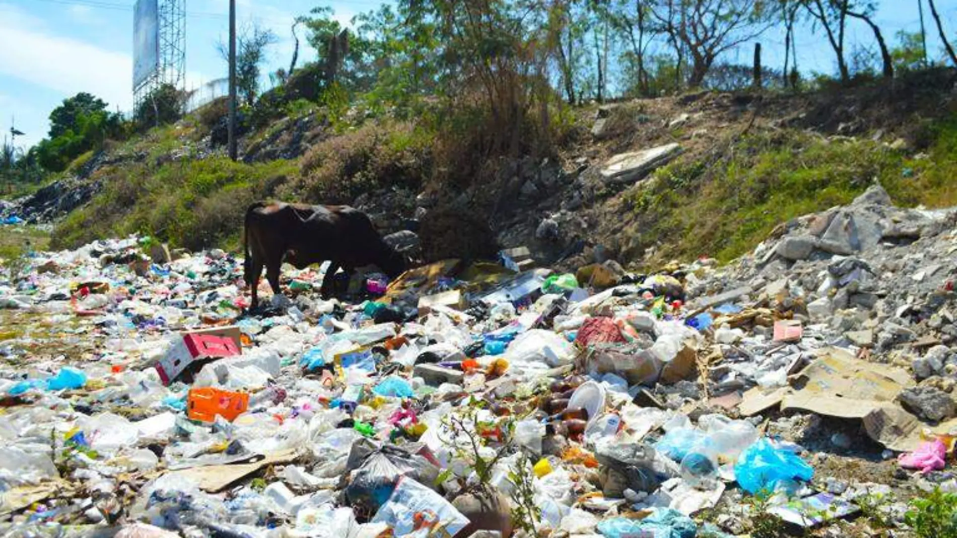 basureros clandestinos